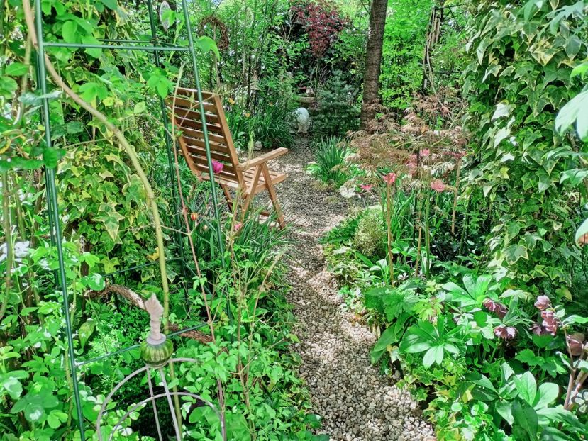  - Grădina 2025 continuare 1