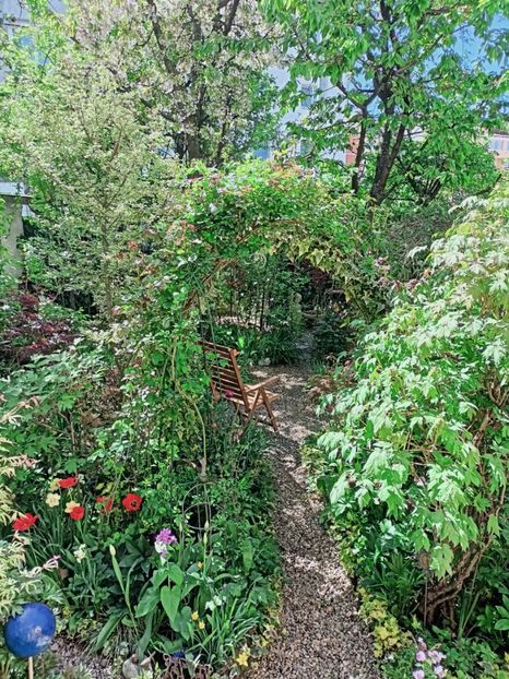  - Grădina 2025 continuare 1