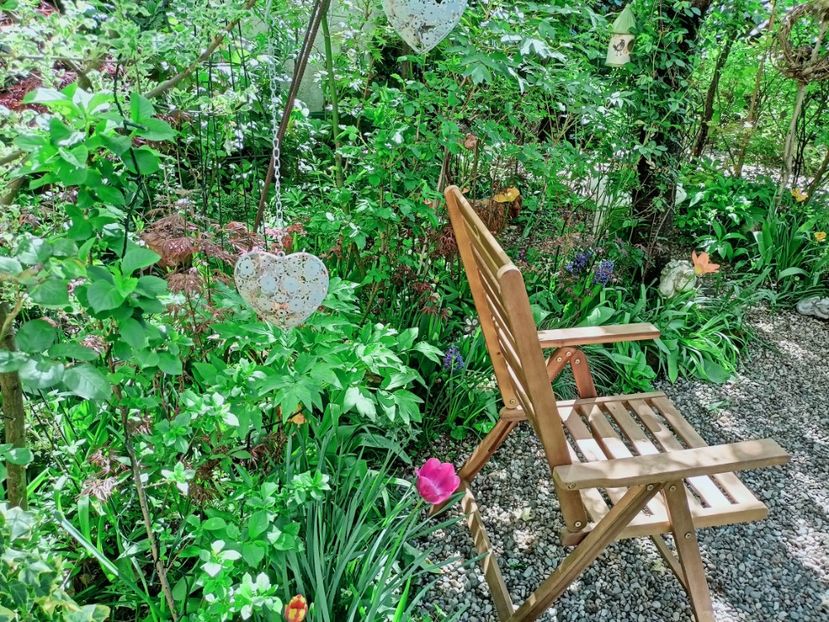  - Grădina 2025 continuare 1