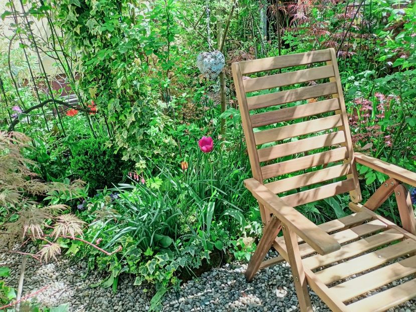  - Grădina 2025 continuare 1