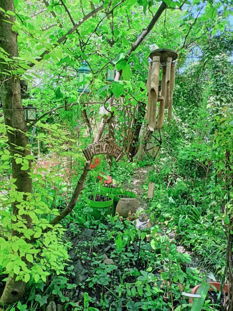  - Grădina 2025 continuare 1