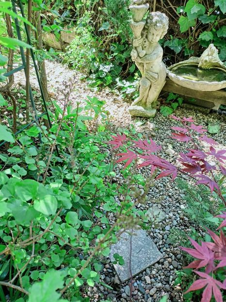  - Grădina 2025 continuare 1