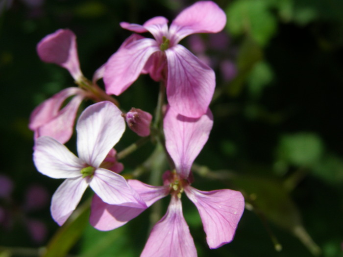 P5031853