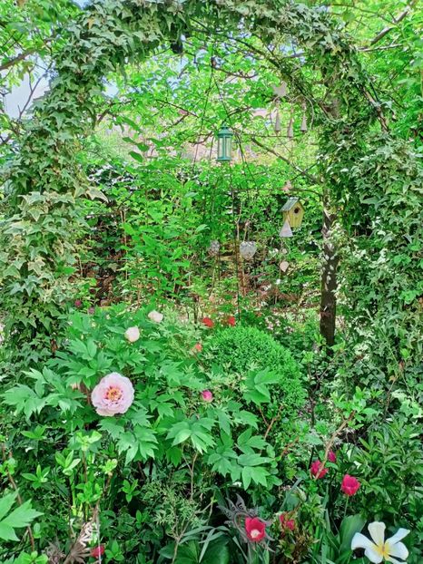  - Grădina 2025 continuare 1