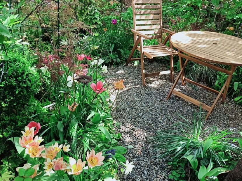  - Grădina 2025 continuare 1