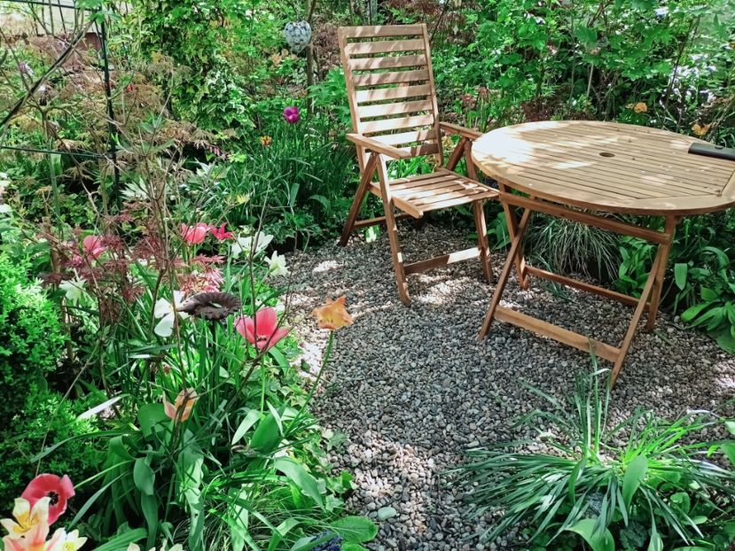  - Grădina 2025 continuare 1