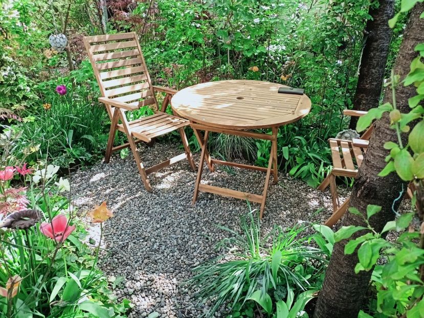  - Grădina 2025 continuare 1