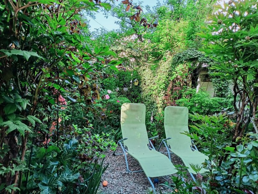 dimineața - Grădina 2025 continuare 1