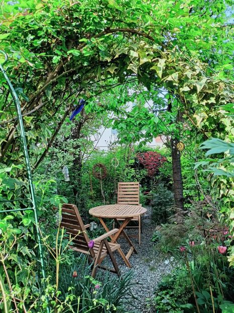  - Grădina 2025 continuare 1