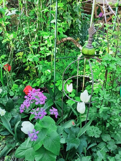  - Grădina 2025 continuare 1