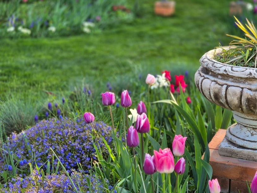  - 00_2025 Primăvara