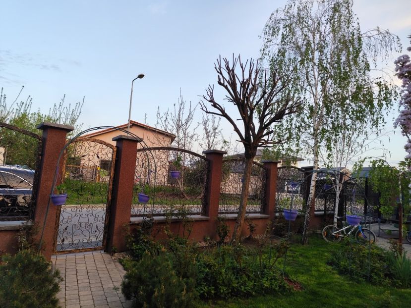  - Primavara 2025