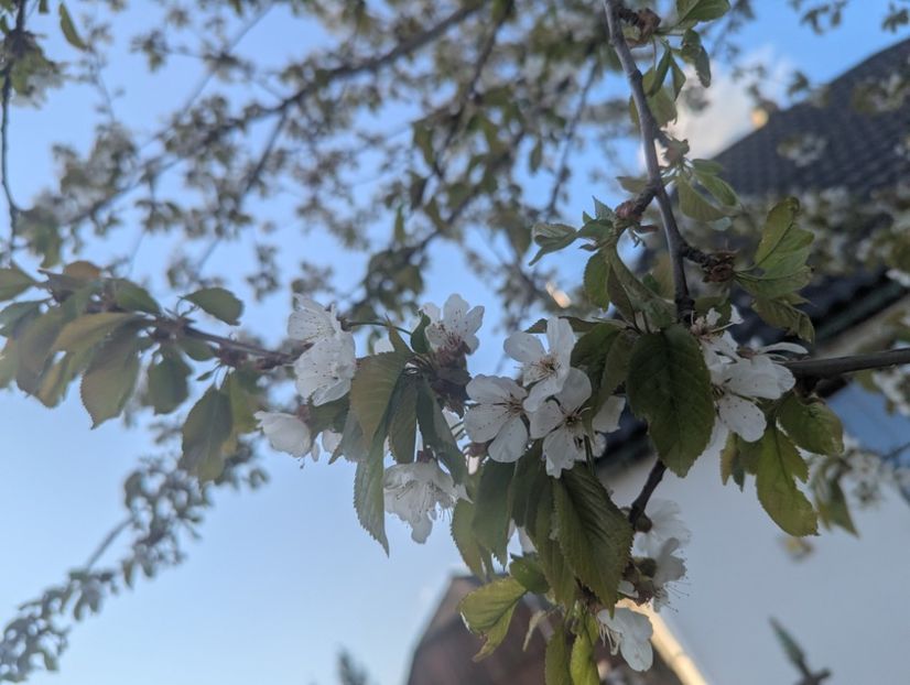  - Universul Natura si lumea sufletului meu