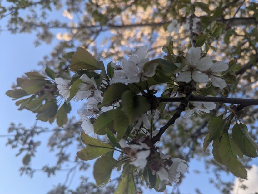  - Universul Natura si lumea sufletului meu