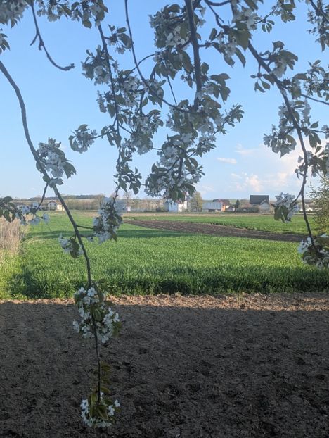  - Universul Natura si lumea sufletului meu