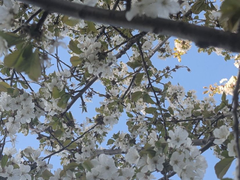  - Universul Natura si lumea sufletului meu