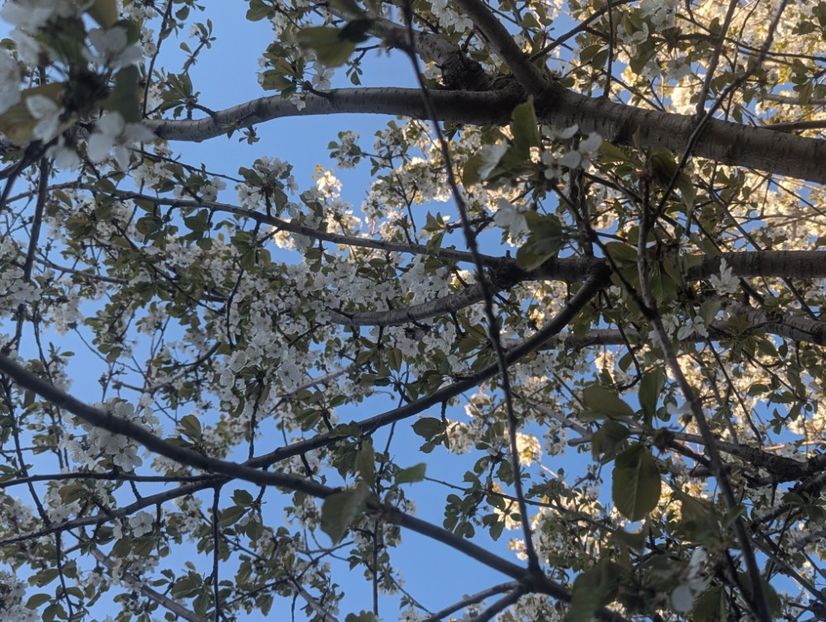  - Universul Natura si lumea sufletului meu
