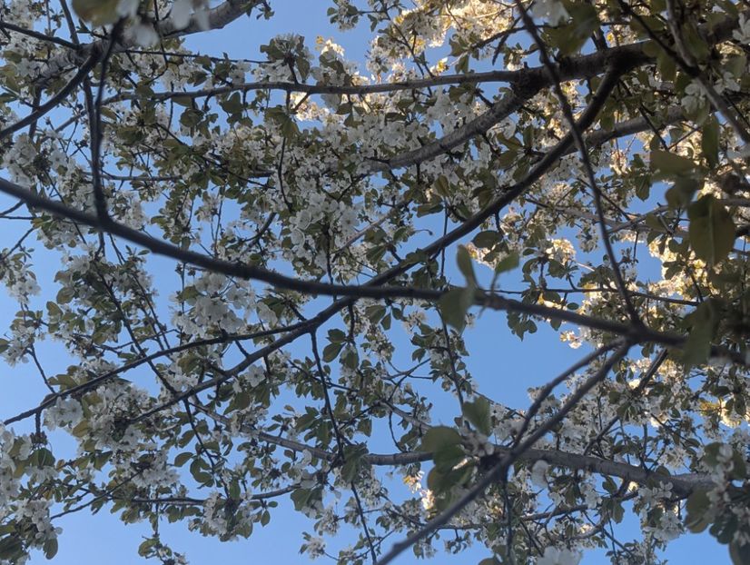  - Universul Natura si lumea sufletului meu