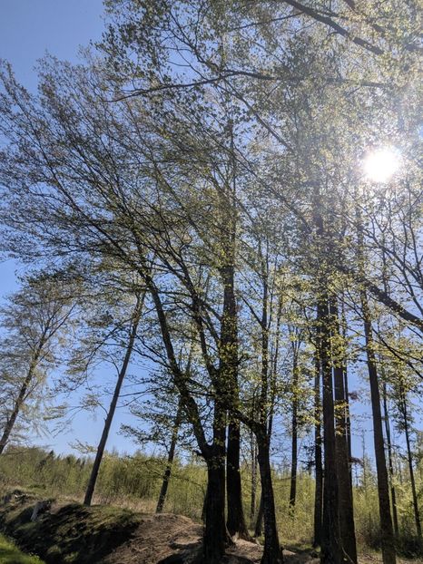  - Universul Natura si lumea sufletului meu