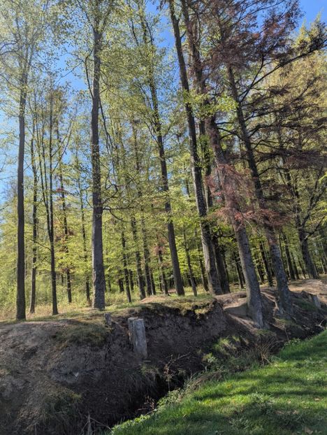  - Universul Natura si lumea sufletului meu