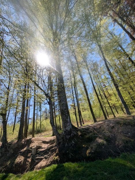  - Universul Natura si lumea sufletului meu