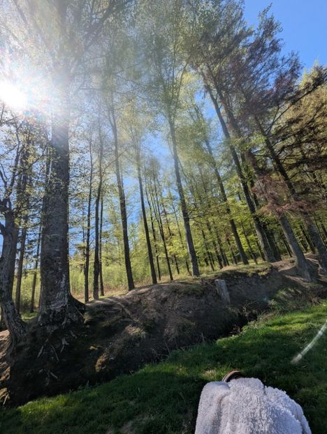  - Universul Natura si lumea sufletului meu