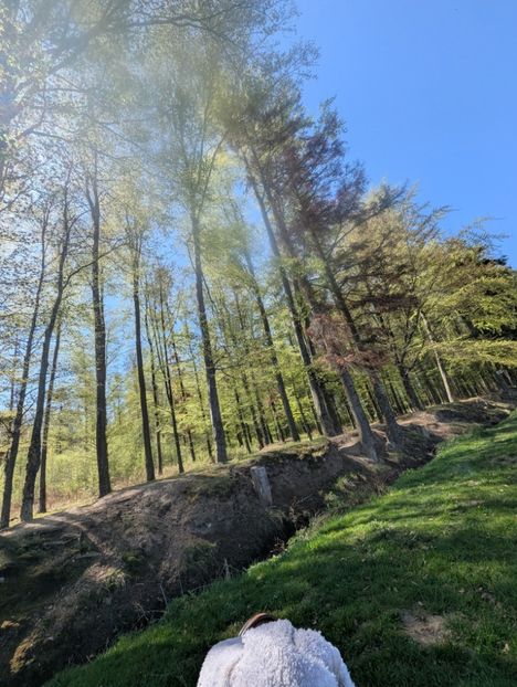  - Universul Natura si lumea sufletului meu