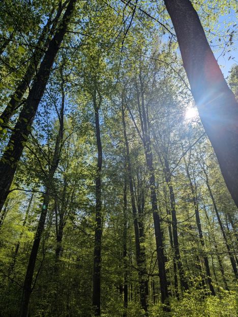  - Universul Natura si lumea sufletului meu