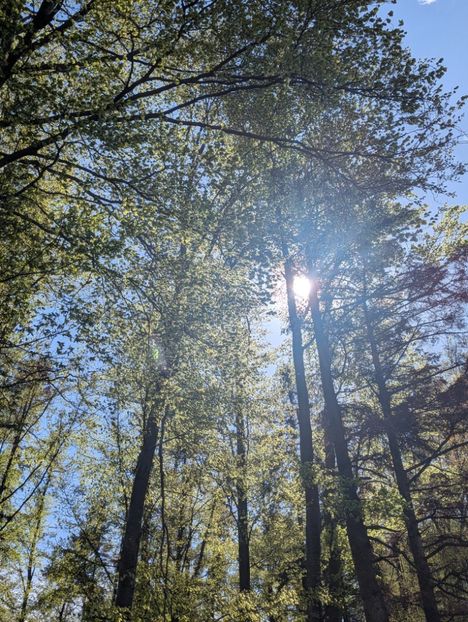  - Universul Natura si lumea sufletului meu