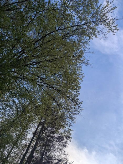  - Universul Natura si lumea sufletului meu