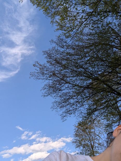  - Universul Natura si lumea sufletului meu