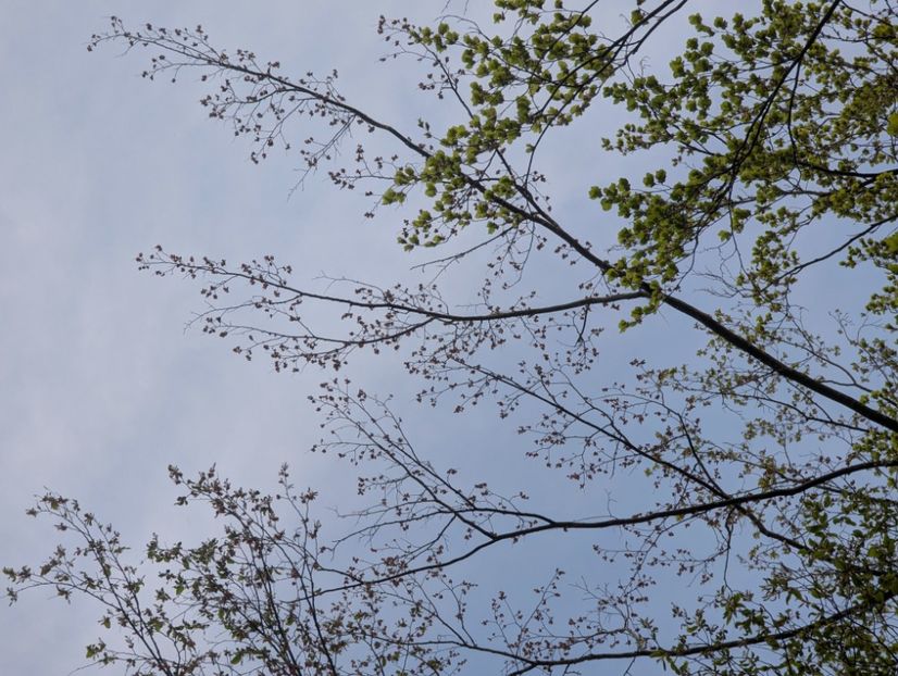  - Universul Natura si lumea sufletului meu