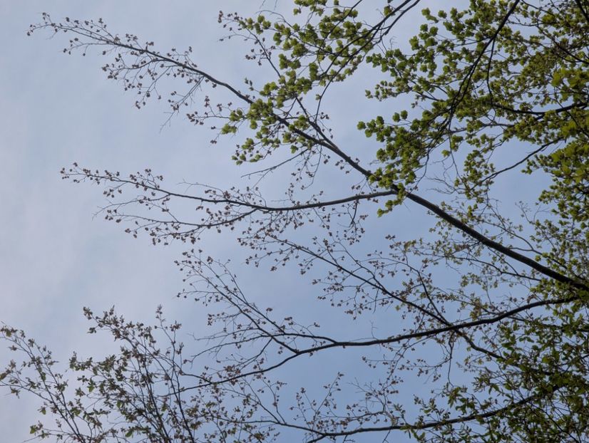  - Universul Natura si lumea sufletului meu