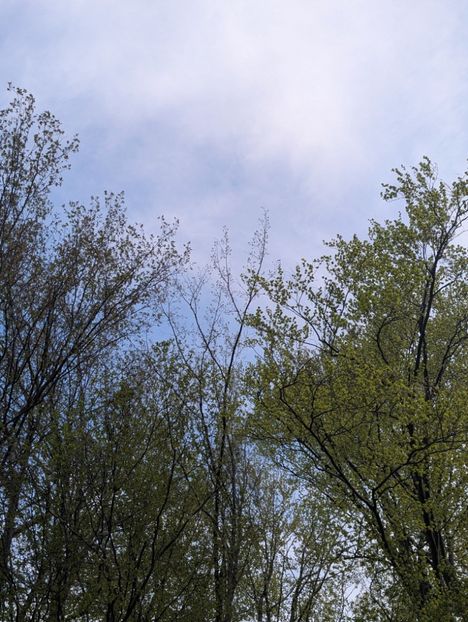  - Universul Natura si lumea sufletului meu