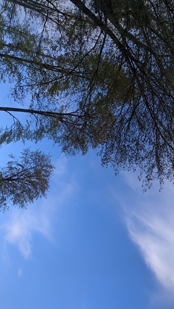  - Universul Natura si lumea sufletului meu