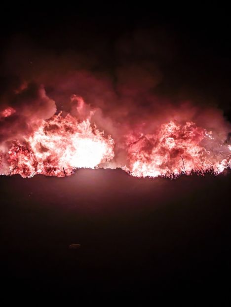  - Universul Natura si lumea sufletului meu