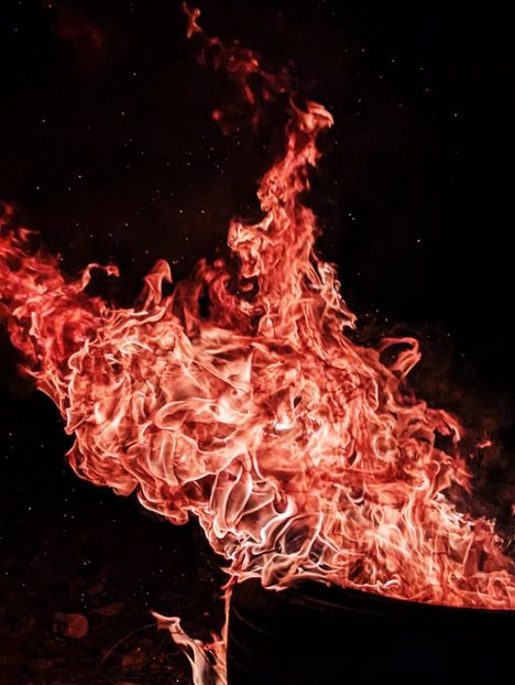  - Universul Natura si lumea sufletului meu