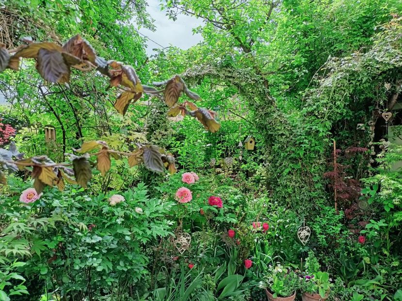  - Grădina 2025 continuare 1