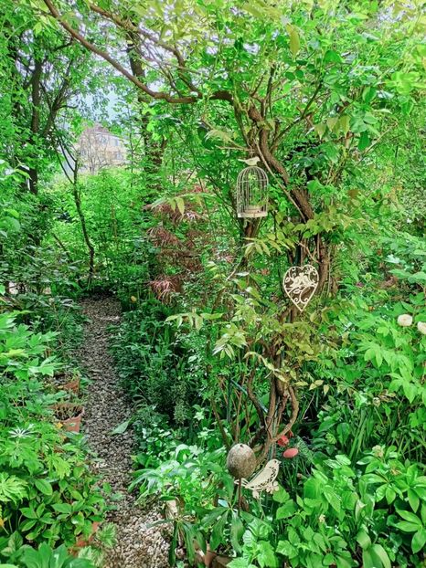  - Grădina 2025 continuare 1