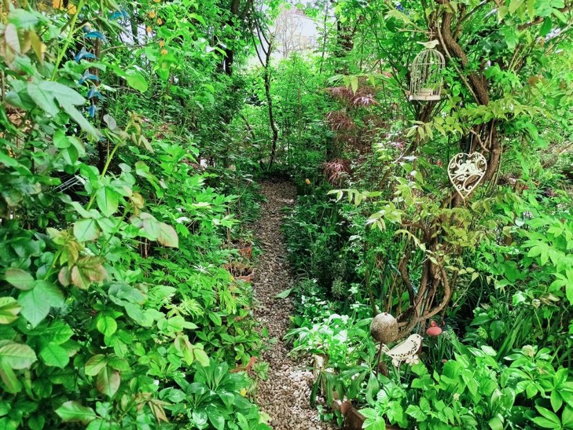  - Grădina 2025 continuare 1