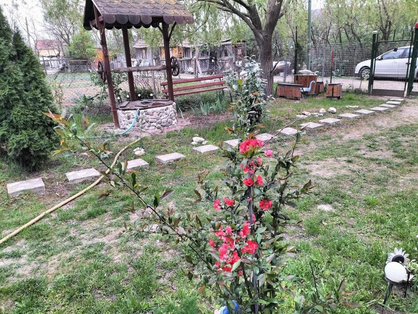  - primavara 2025 la tara