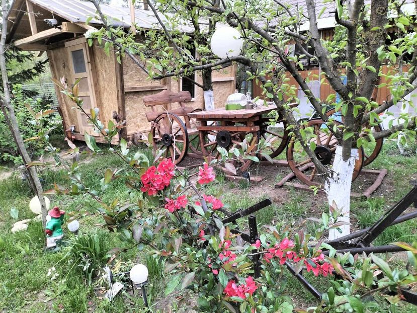  - primavara 2025 la tara