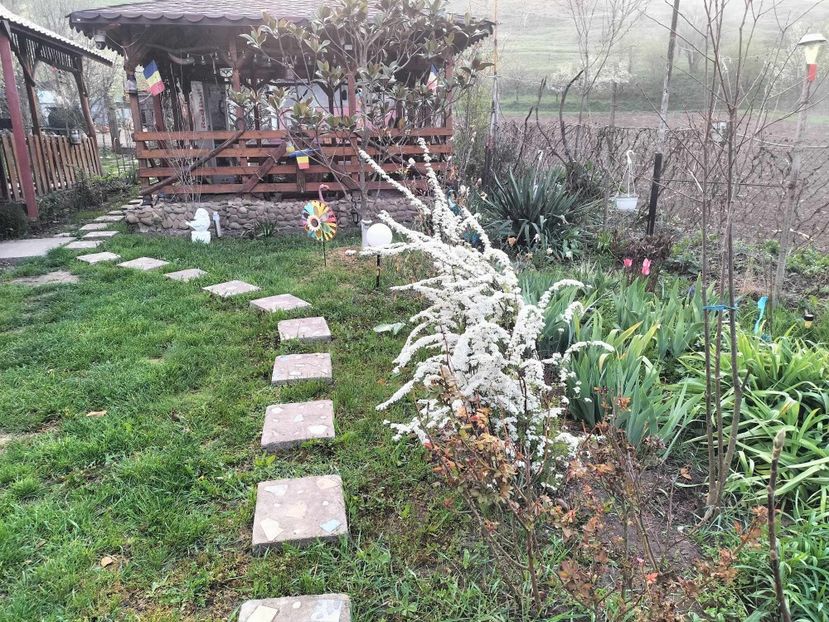  - primavara 2025 la tara