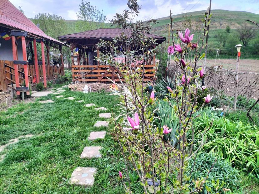 490986854_1649383829042019_9031562259556814351_n (1) - primavara 2025 la tara