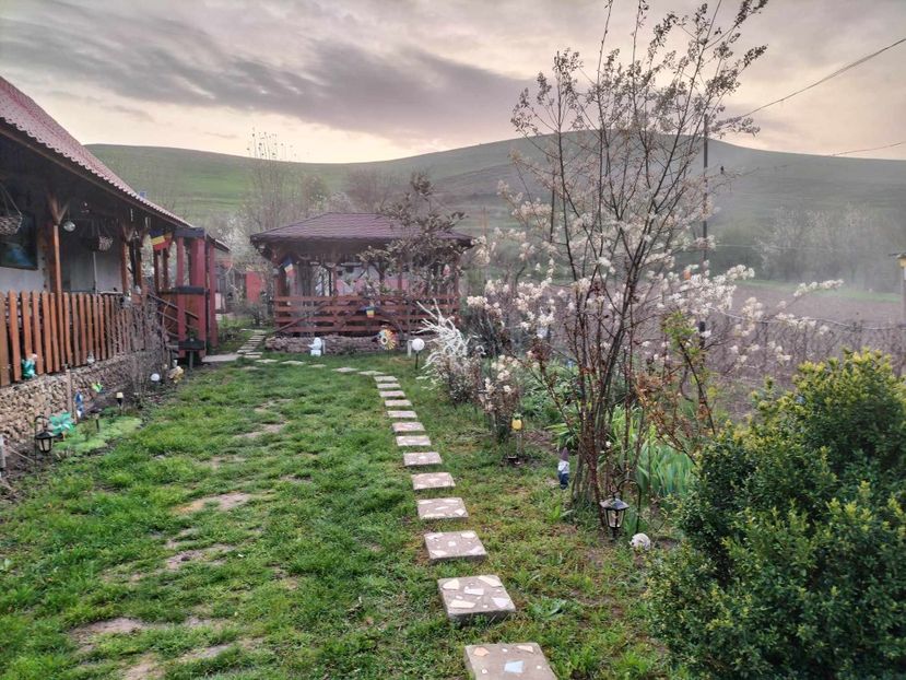  - primavara 2025 la tara