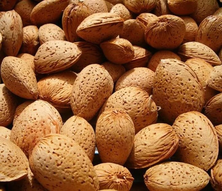 Migdal fruct - Migdal Sweet Core