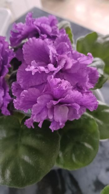  - AV- GROZOVYIE OBLAKA