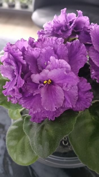  - AV- GROZOVYIE OBLAKA