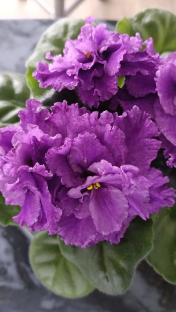  - AV- GROZOVYIE OBLAKA