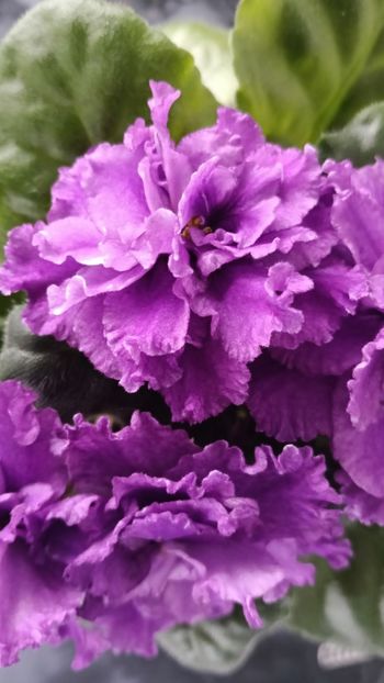  - AV- GROZOVYIE OBLAKA